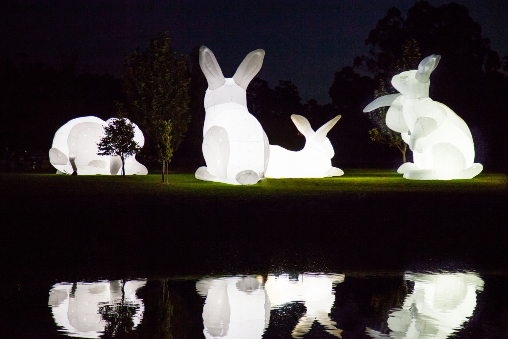 Aussie artist Amanda Parer’s “Intrude” installation invades 1600 Smith, downtown Houston this May, sponsored and curated by Arts Brookfield.