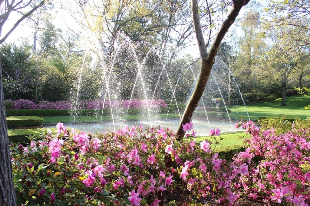 Blooming Fashion River Oaks' Spectacular Azalea Trail Inspires