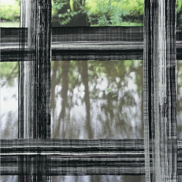 Casey Williams' "Untitled (F7.13)," 2008 – 2012, preserves a window onto nature. 