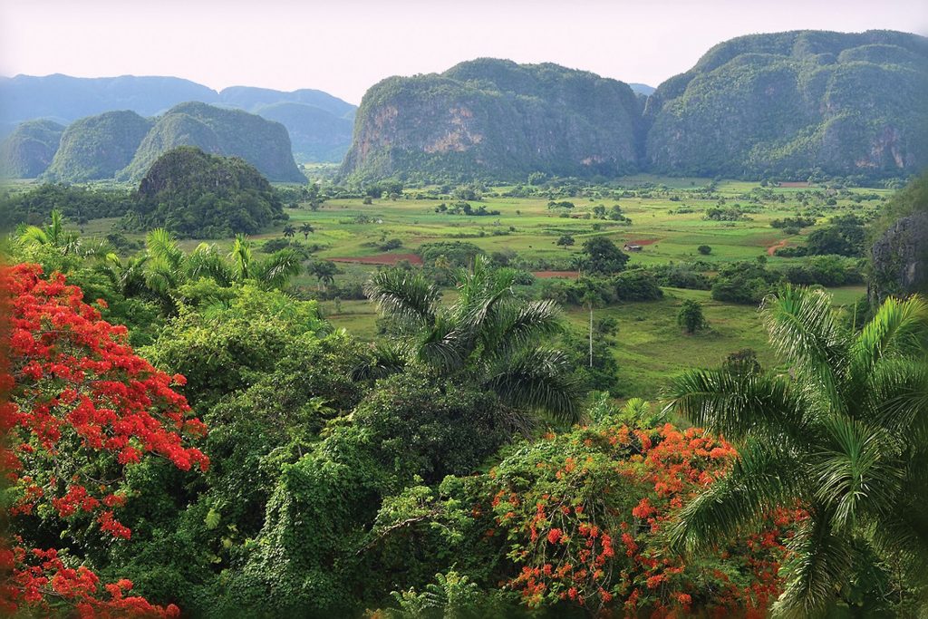 Explore Cuba’s Viñales tobacco region. 