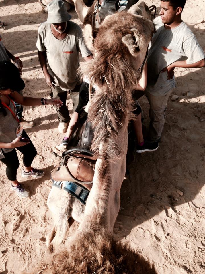 My view on top of camel. (Photo by Mia Davis)