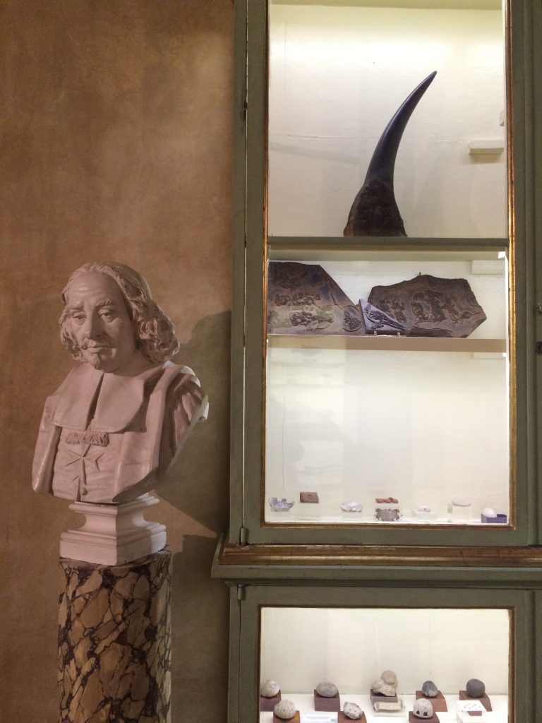 Still life and sculpture at Museo de Palazzo Poggi.