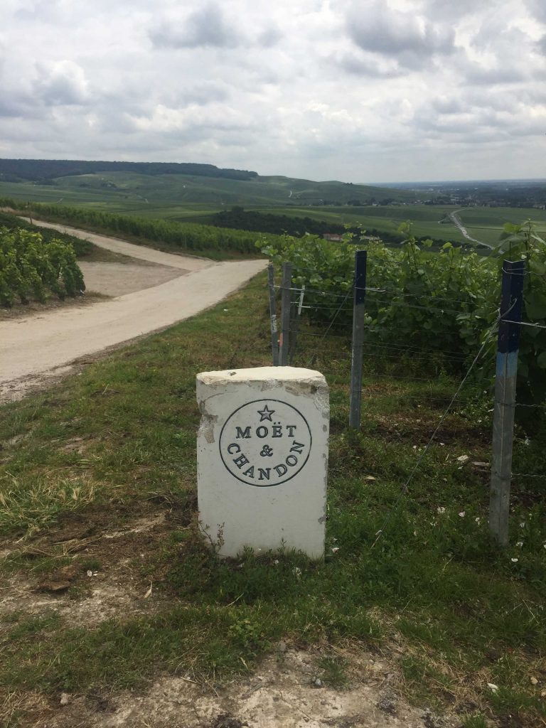 Moët & Chandon vineyards in Champagne