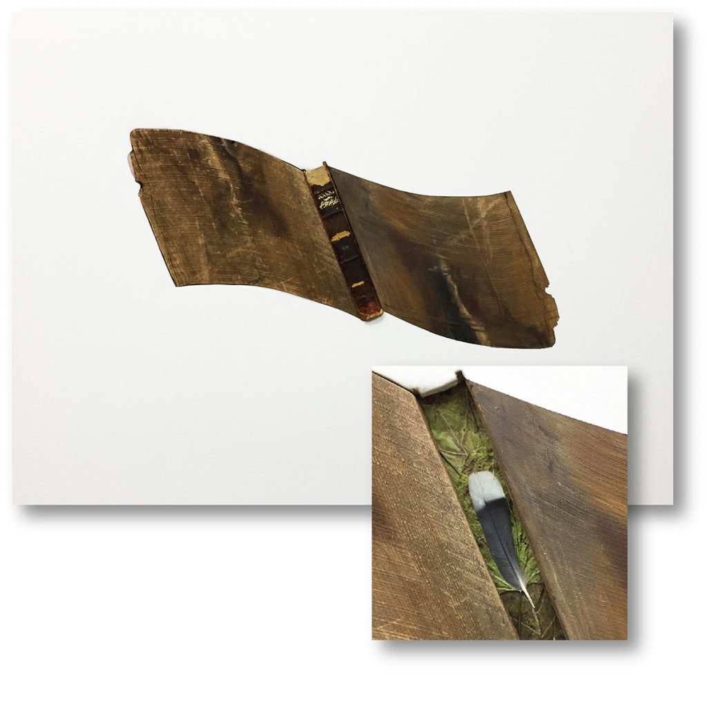 Page Piland's "A Wooden Book About Wind Currents"