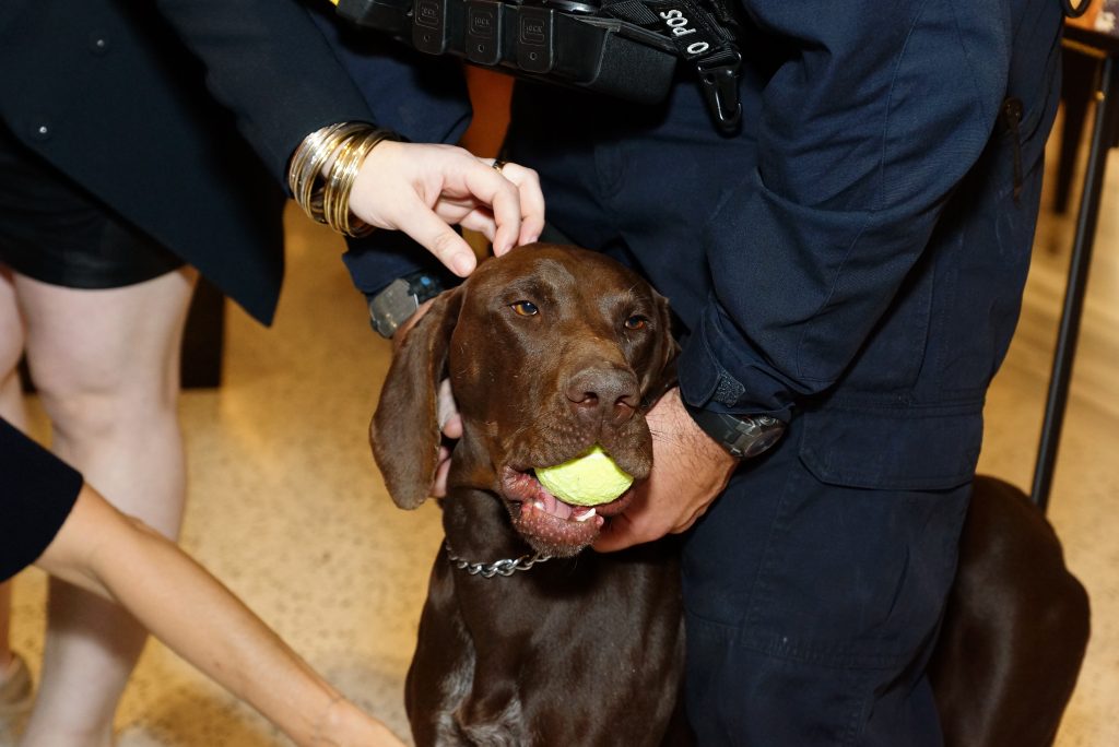 by Michael Saaverda, Amber Magic Studios