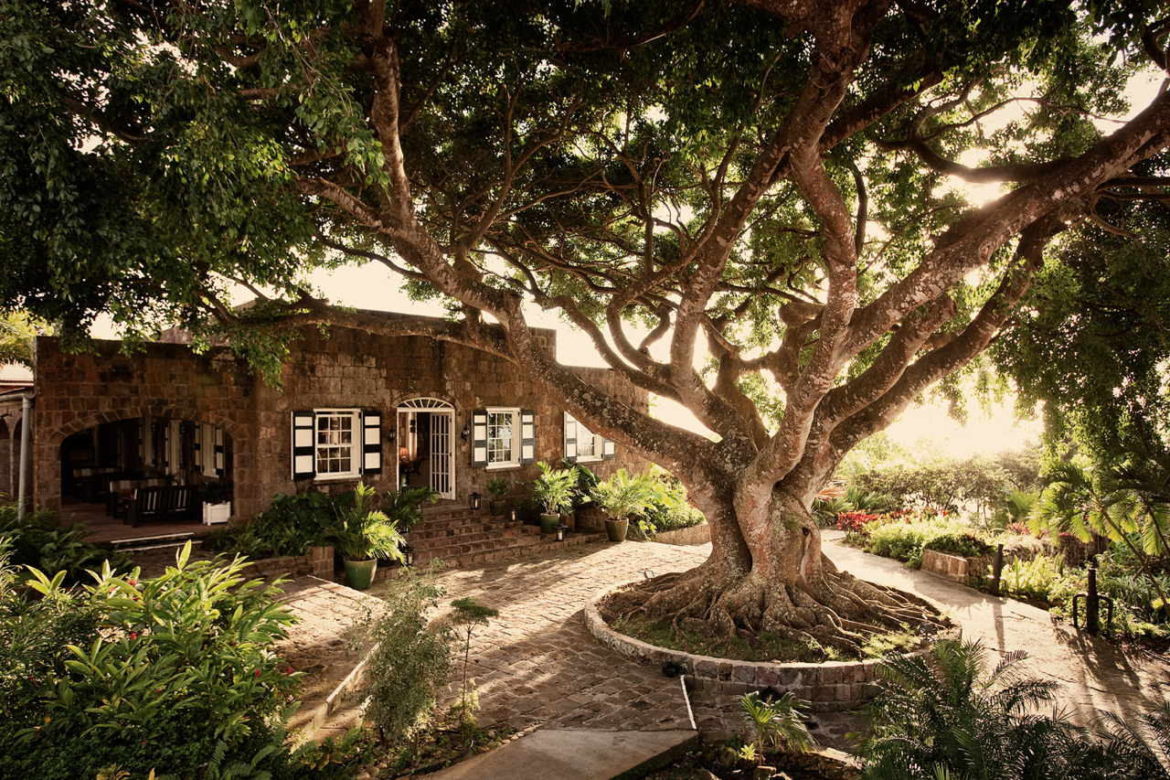 Montpelier Plantation and Beach, Nevis