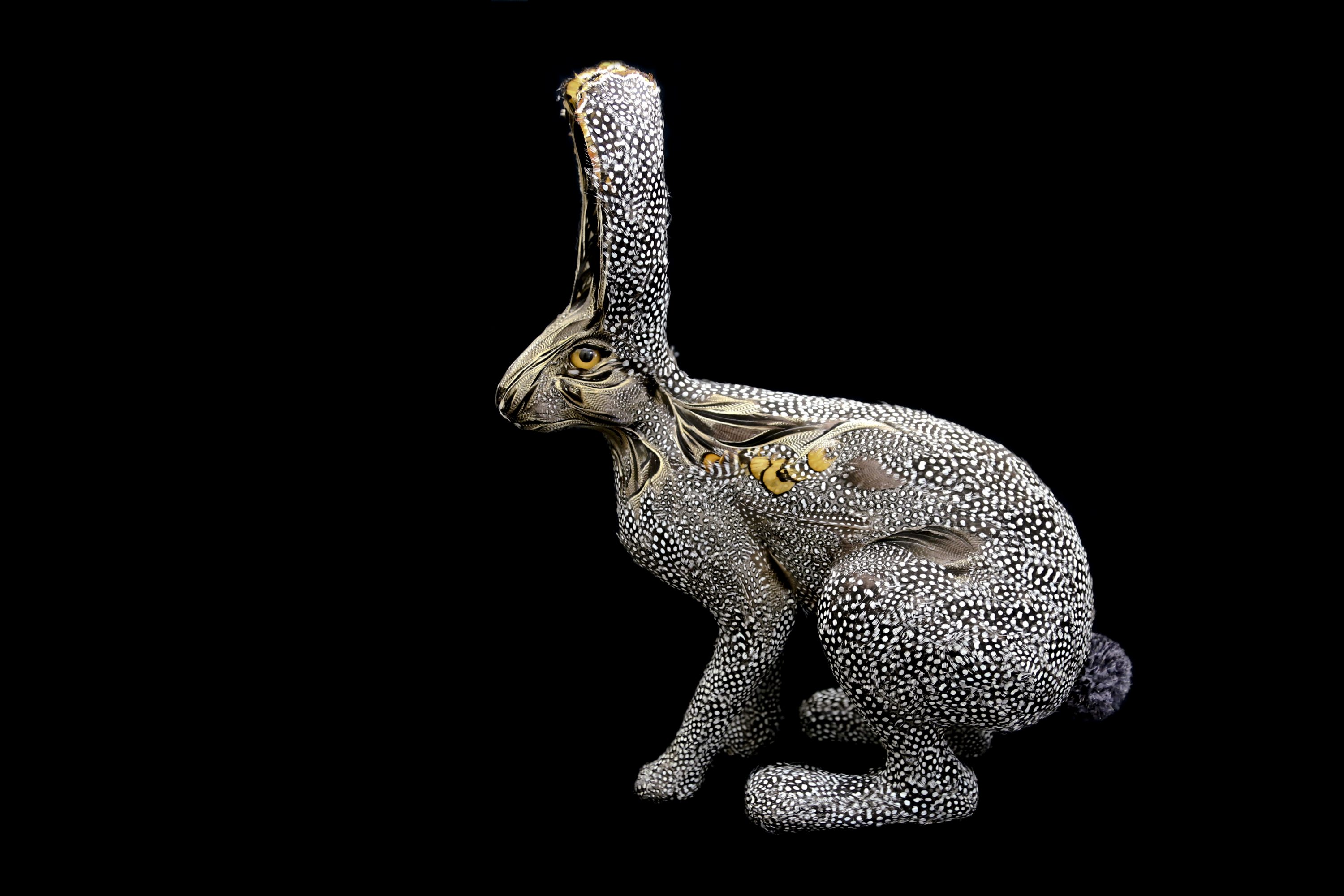 Find Laurence Le Constant’s Leporidae Coco at Grange Hall.