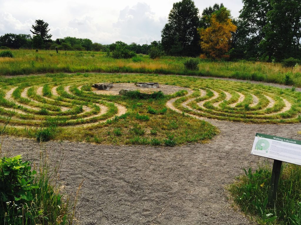 On my pilgrimage: the labyrinth at the Matthaei Botanical Gardens.