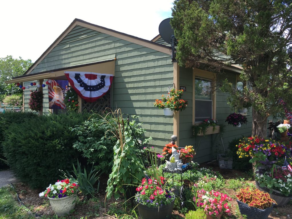 The end of the thousand-some mile trip — my birthplace: Pittsfield Boulevard, Ann Arbor, in bloom last summer. 