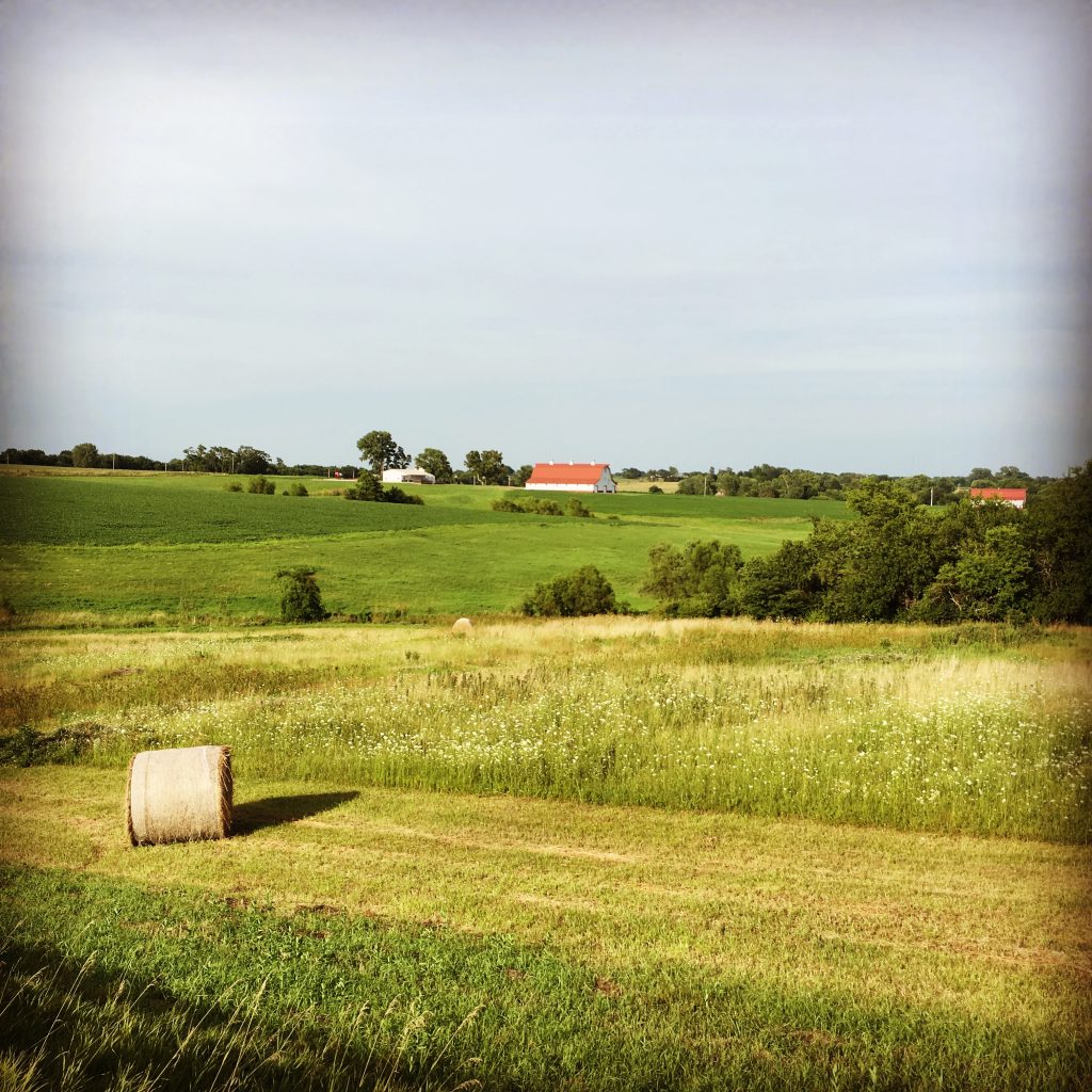 The beautiful fields of Indiana.