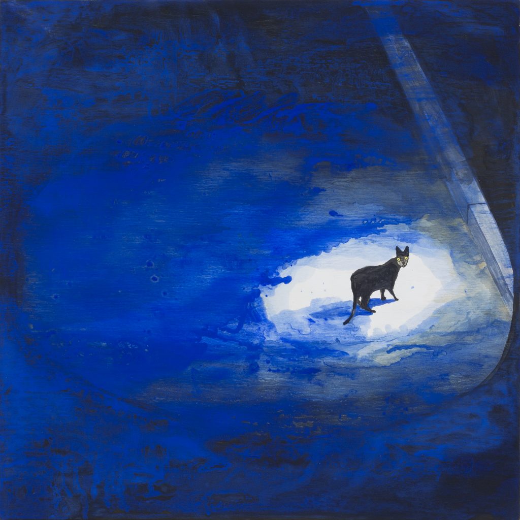 Noel McKenna's "Cat on street, night," 2016, at Mother's Tankstation Limited, a new exhibitor to the Fair. (Courtesy the artist and Mother's Tankstation Limited, Dublin)