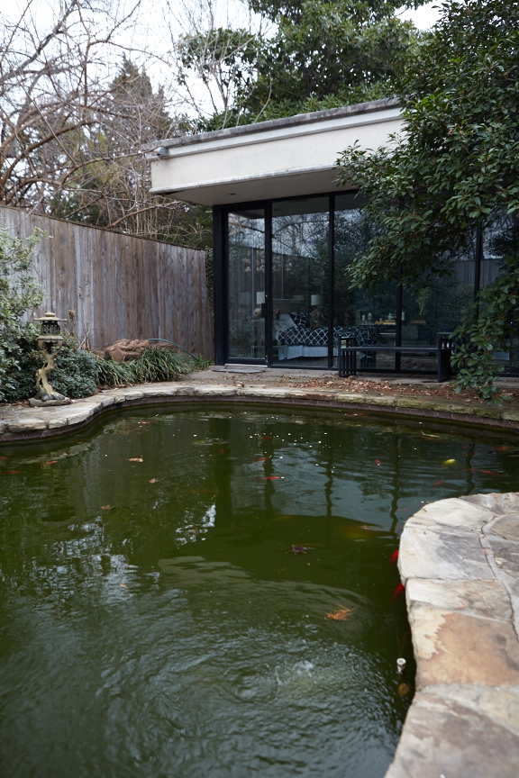 Backyard koi pond
