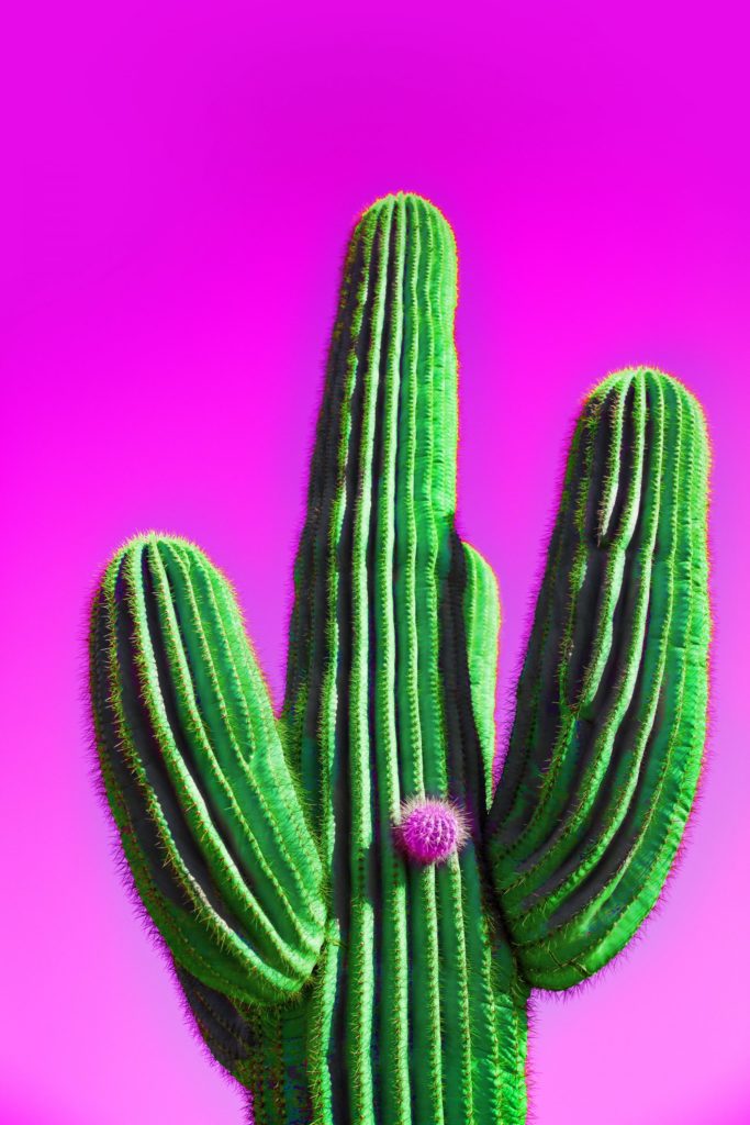 Dallas Photographer’s Road Romp Creates Neon Buzz: Are You Ready for a Strange Trip?