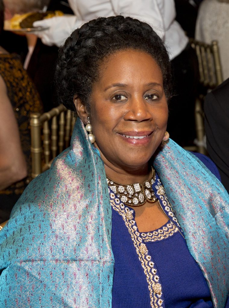 Asia Society Texas Center Tiger Ball