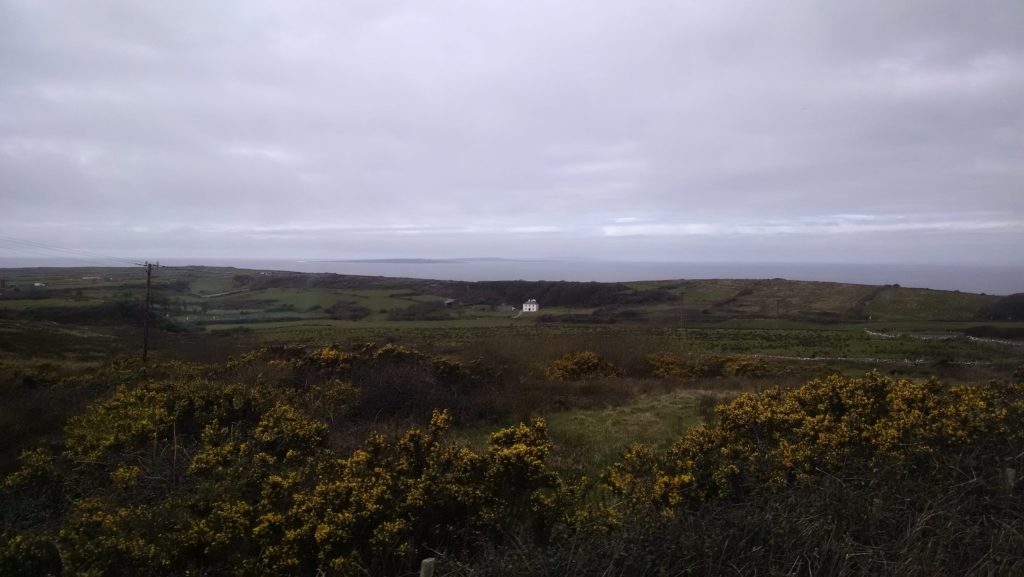 The cold salt air was rejuvenating after the long bus ride to the Cliffs of Moher. 