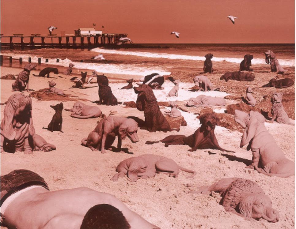 Sandy Skoglund's 80s-era vintage print at Yvonamor Palix Fine Arts. Palix is one of five highly regarded Houston dealers trying out the fair. Skoglund is catnip to photo collectors, and years before Photoshop created startling images.