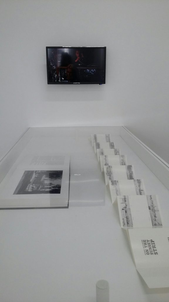 "Paris Texas" at Galerie Frank Elbaz was one of the side pleasure of Dallas Arts Month. 