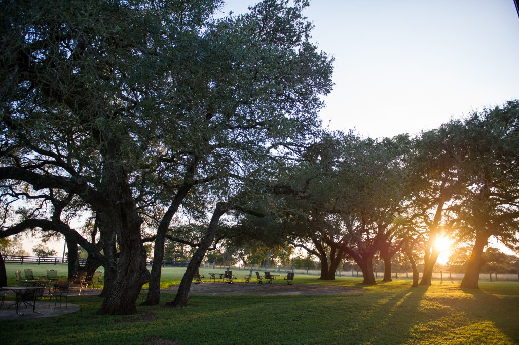 Perfect ending to a perfect day