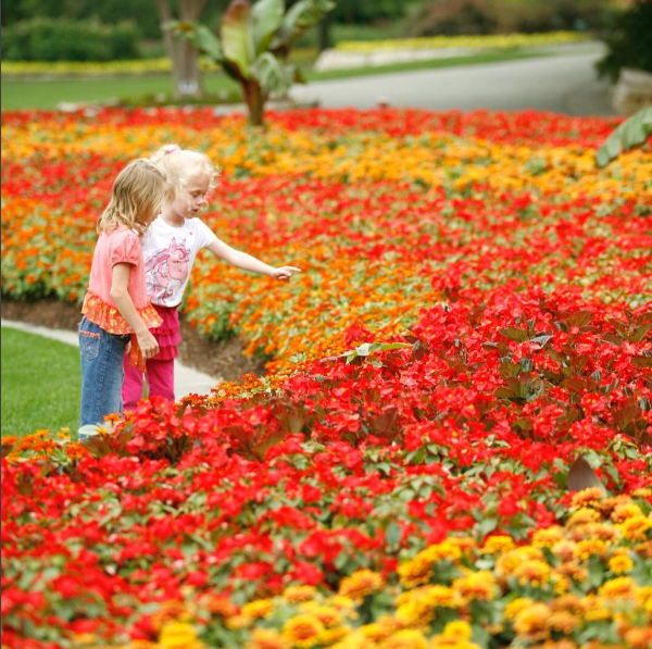 The Dallas Arboretum makes Father's Day a happening.