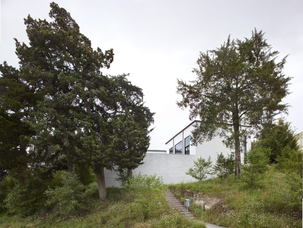 Steps lead from the street through a wildflower meadow designed by David Hocker, who included seven old cedar trees on the property.