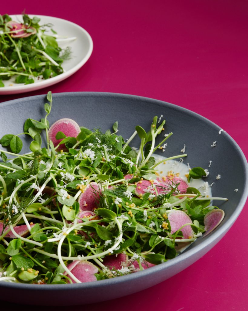 Watermelon radish salad