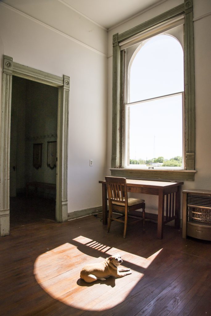 Pinto Bean relaxes in a resident’s space, 100 West, Corsicana, Texas.