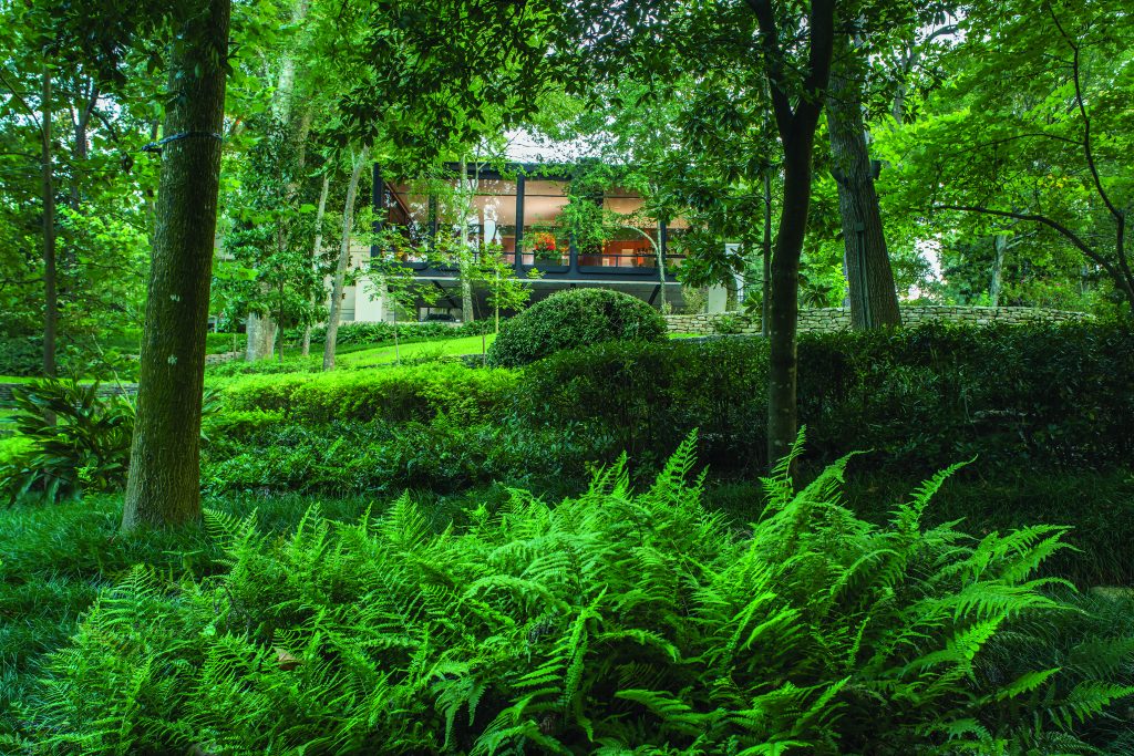 People who call this stunning $19.5 million River Oaks home a treehouse aren't kidding.