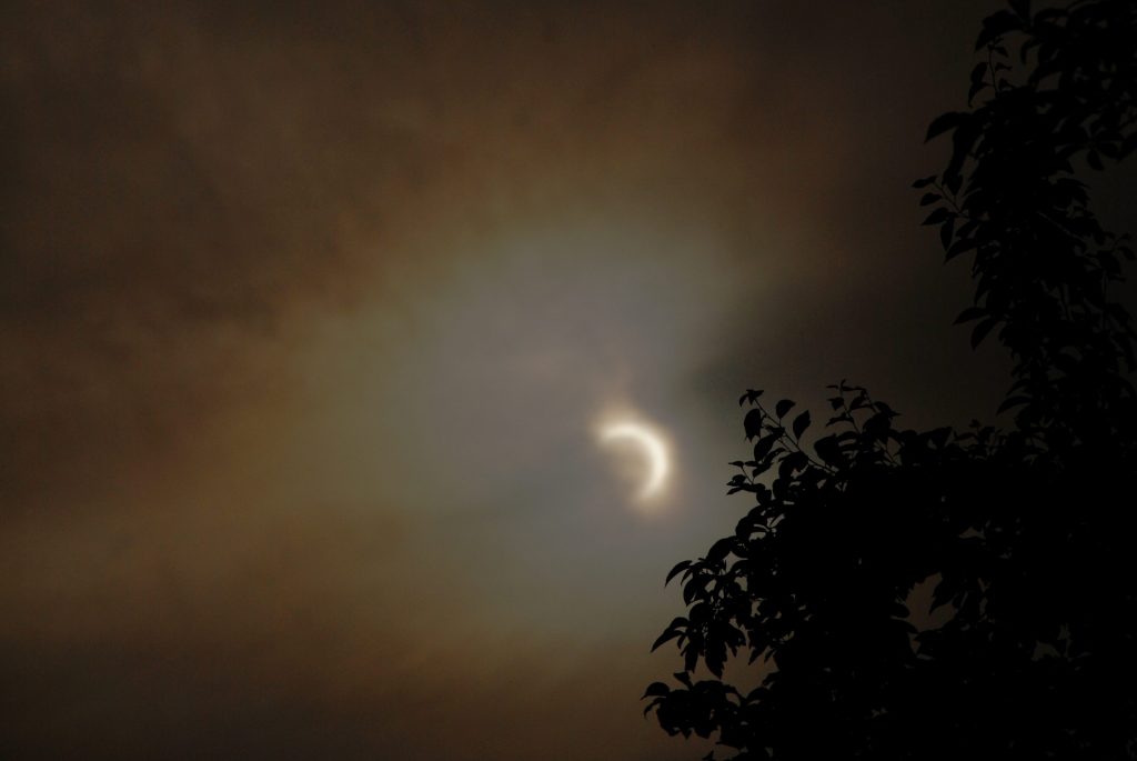 Don't miss solar eclipse viewing parties at the Dallas Arboretum and the Perot Museum. (Photo courtesy Dallas Arboretum)