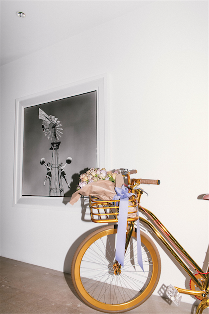 Inside Suzanne Droese's office. 