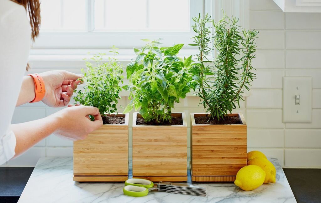 gardenuity