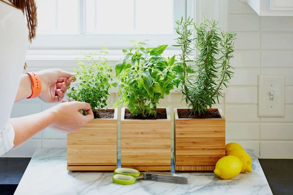 gardenuity
