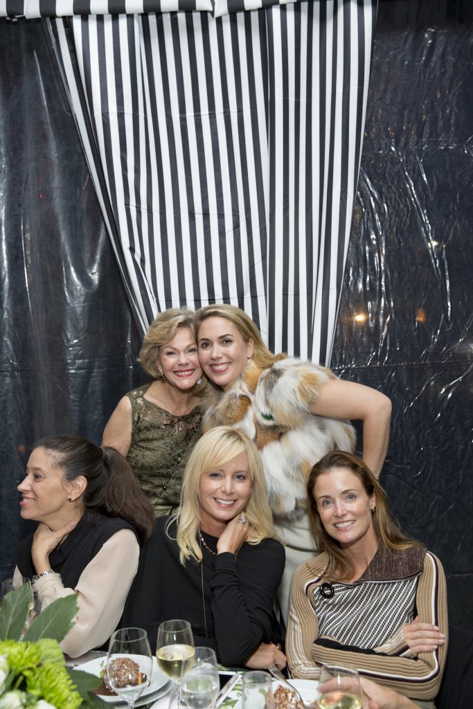 Another Great Night in November