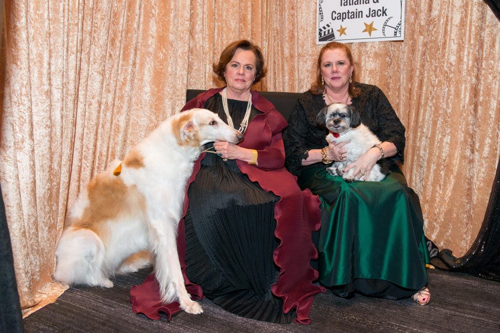 Citizens for Animal Protection Gala at the Royal Sonesta