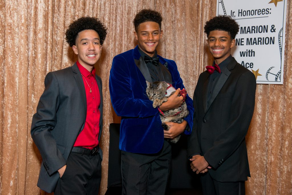 Citizens for Animal Protection Gala at the Royal Sonesta