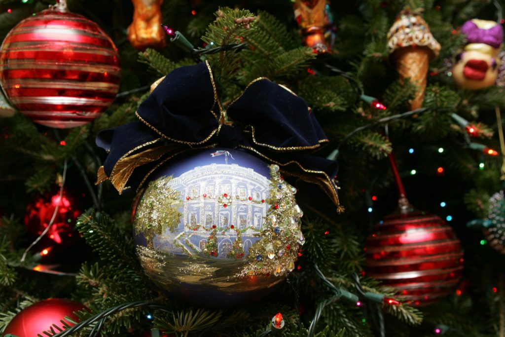 George W. Bush Presidential Center tree