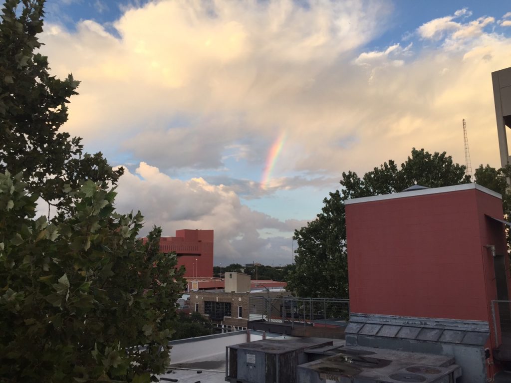 A rainbow over Artpace — a harbinger of the show perhaps? 