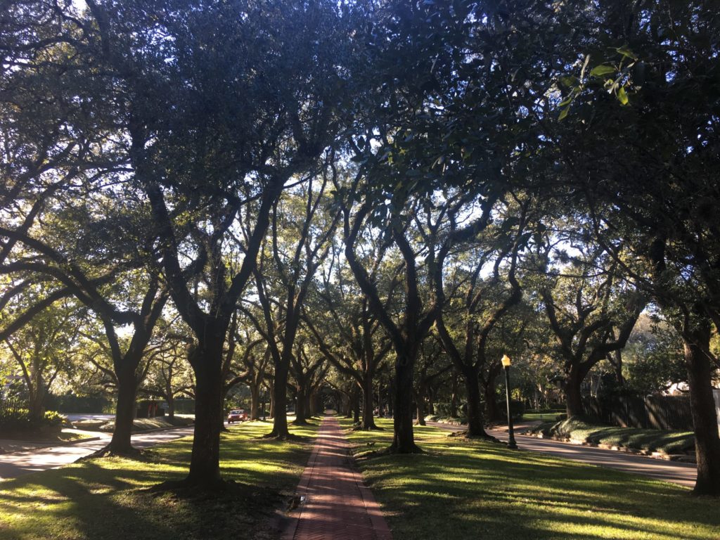 The Broadacres esplanades have been determined to be a public right-of-way. There will be no photo ban.
