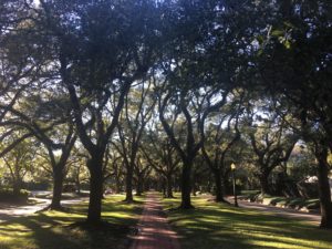 Broadacres_esplanade