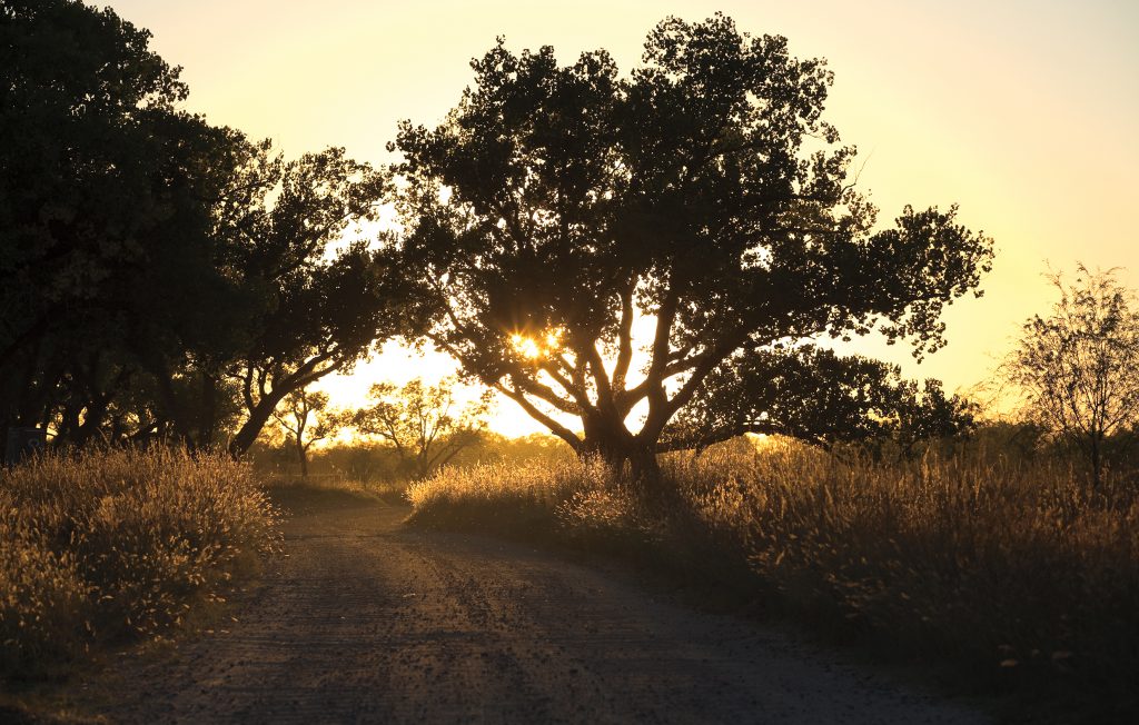 T. Boone Pickens' dream ranch covers 10 square miles in the Texas Panhandle.