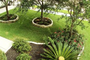 Scola_landscaping