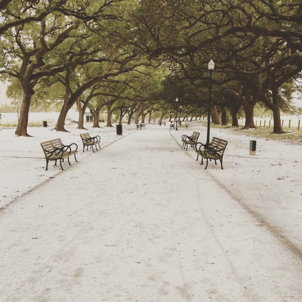 You could be a much-needed bench warmer along the Marvin Taylor Trail at Hermann Park. (Photo by Byron Barclay.)