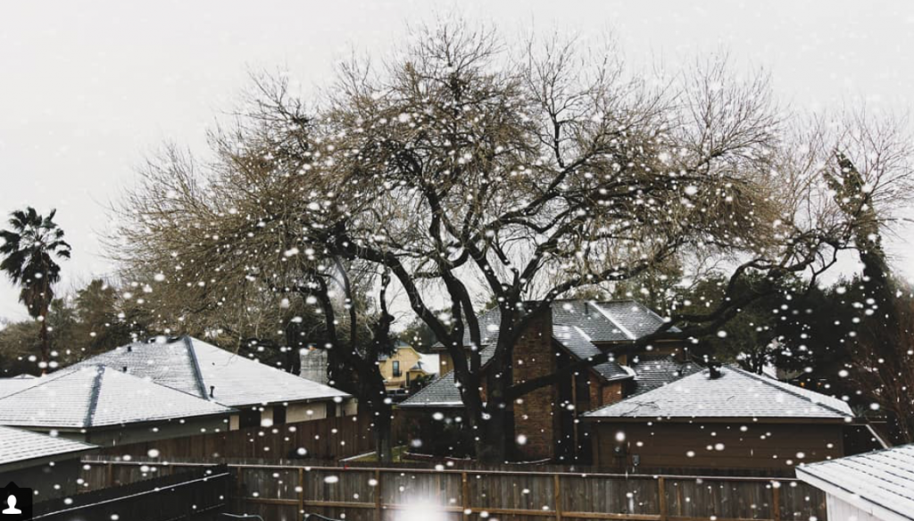 Falling for it--@dianaarevalo