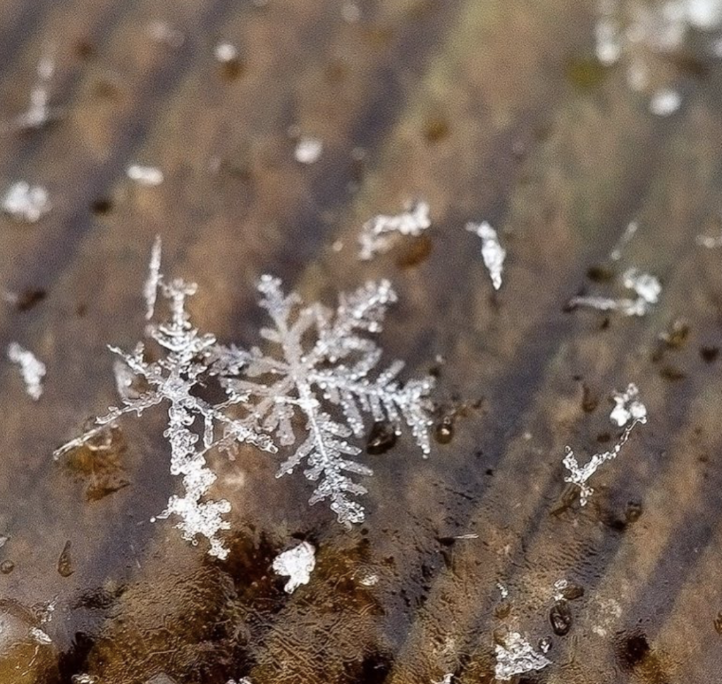 This sight's pretty unique--@kristinmariephotos