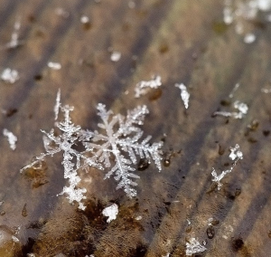 Icepocalypse @kristinmariephotos