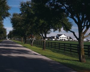 Southfork Ranch