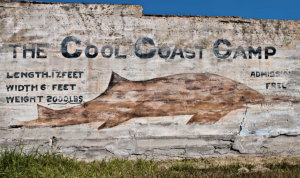 La Lucha coast