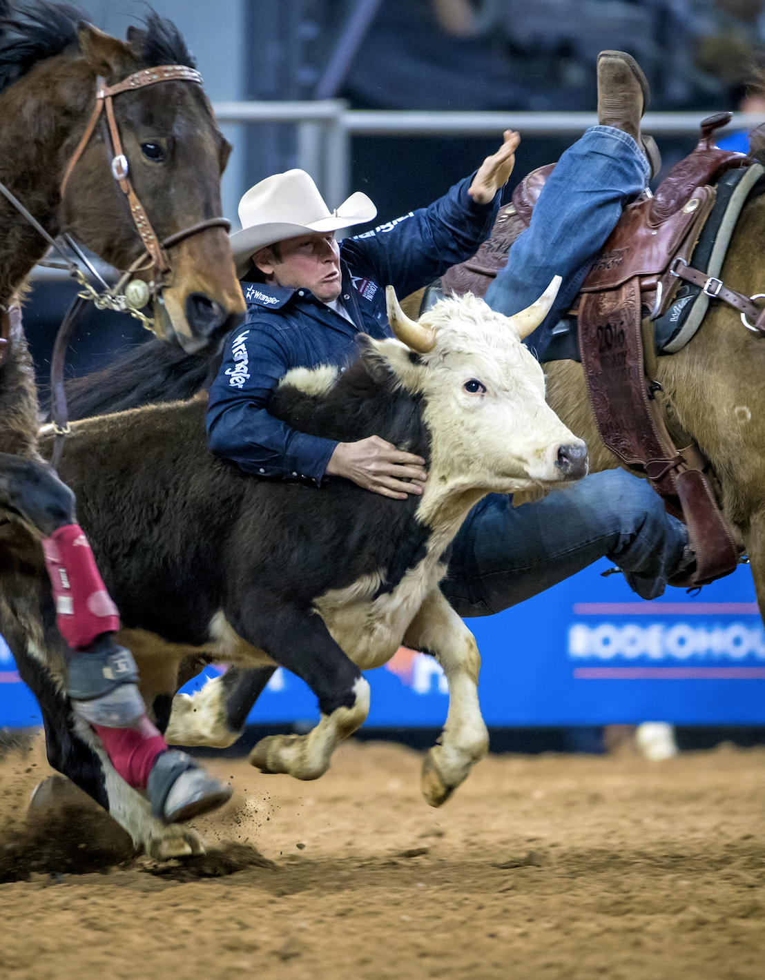 Blake Knowles rodeo