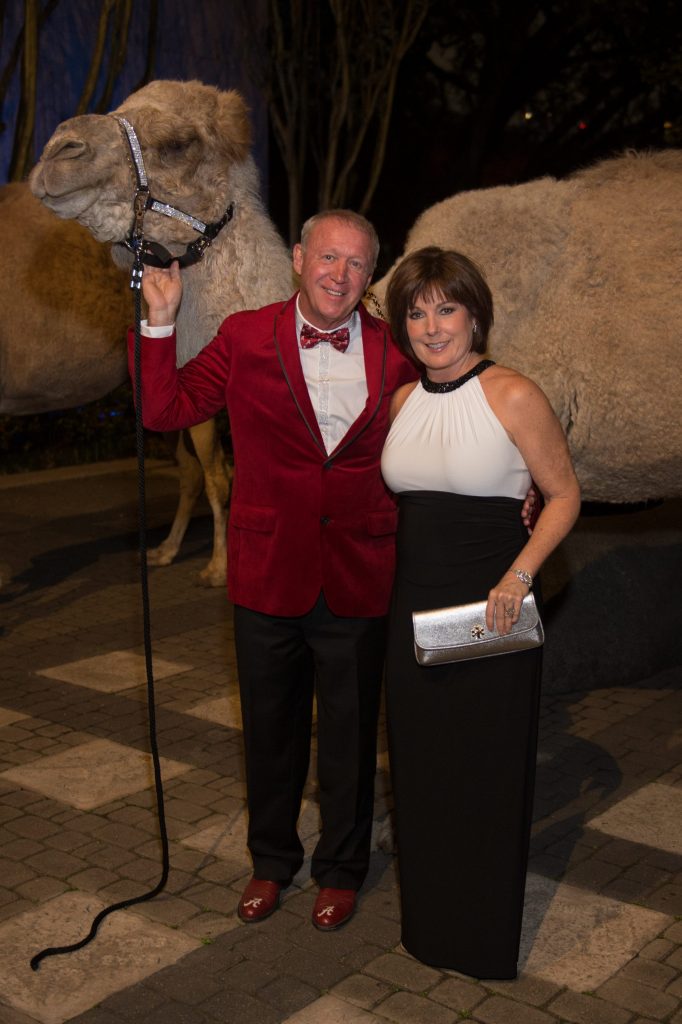 HMNS gala