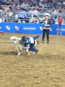 Mutton Bustin 11