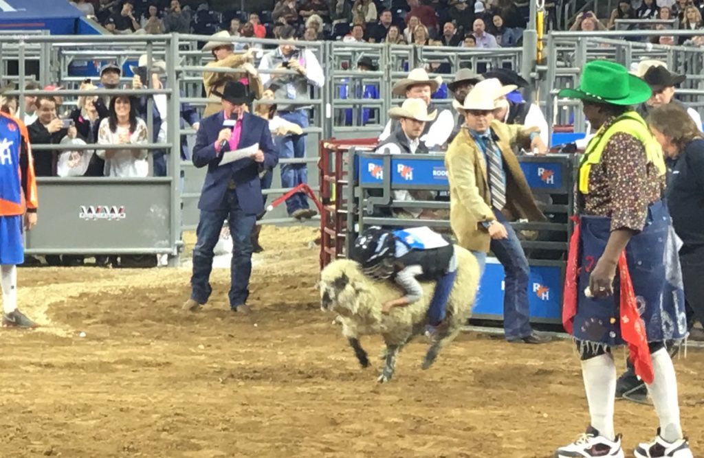 This Mutton Buster shoots out of the chute. 